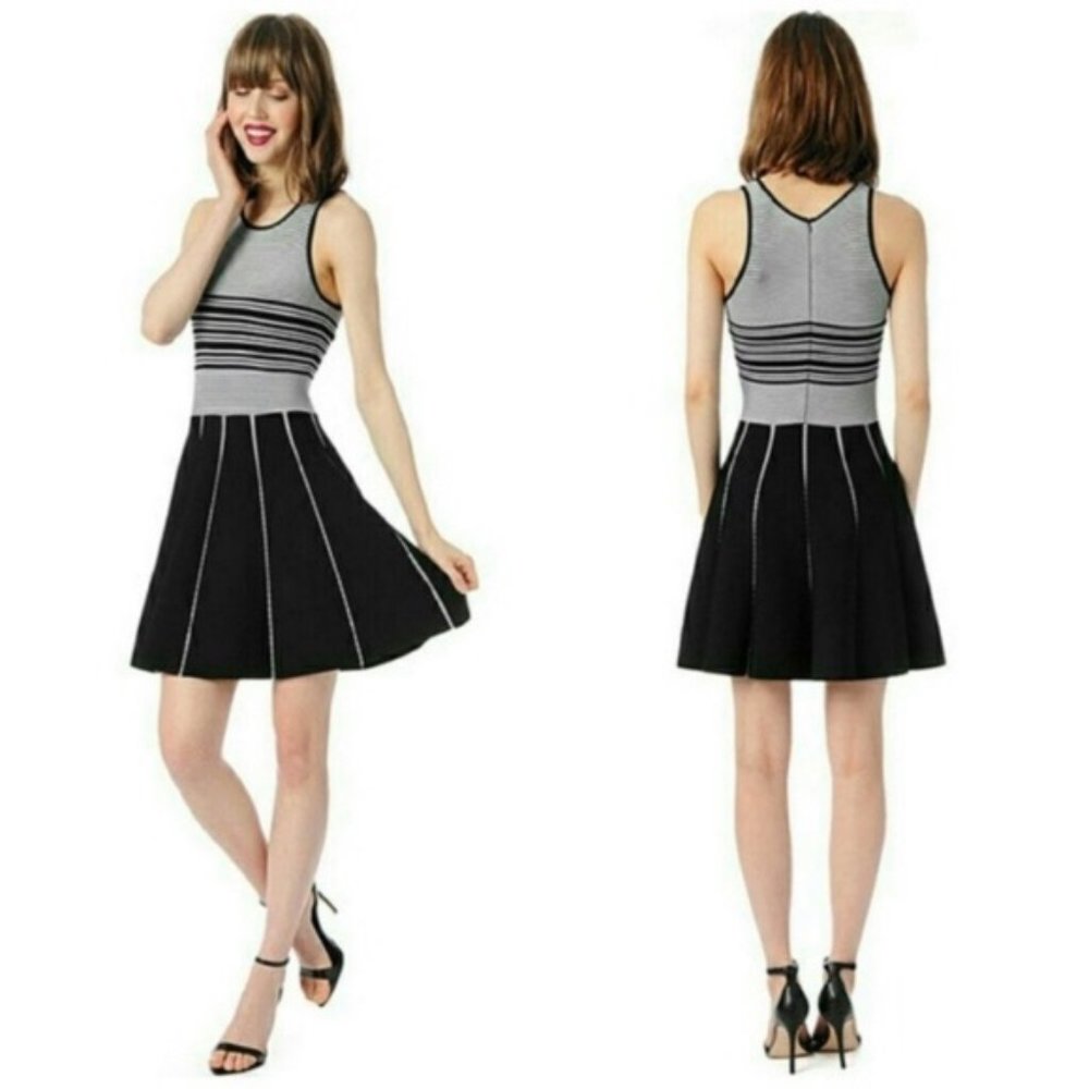 NWOT! Parker Sz XS / 2 Nia Knit Striped Nylon Skater Mini Dress A line Hem